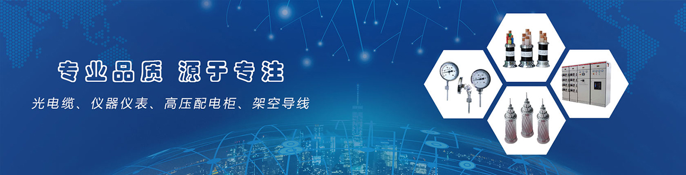 同乐城官网TLC|瓦伦西亚官方相助同伴