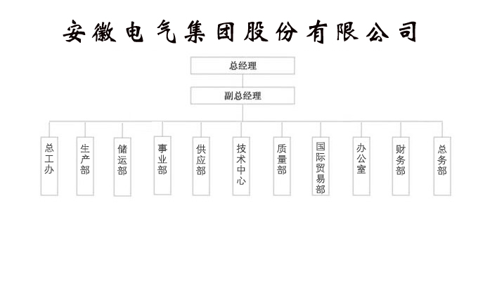 同乐城官网TLC|瓦伦西亚官方相助同伴