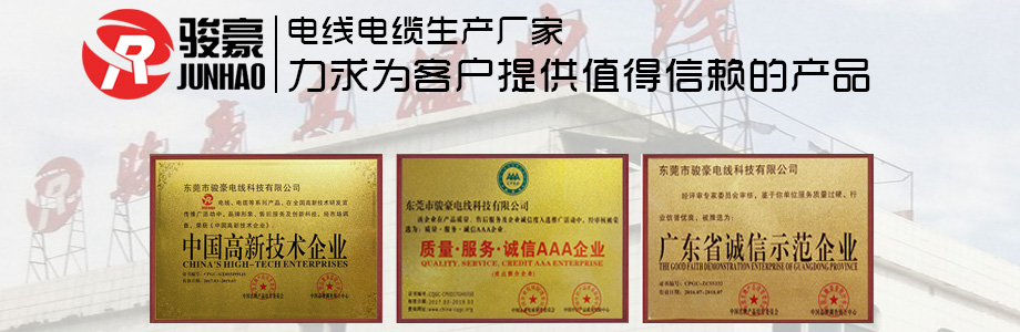 菲律宾亚星荣誉证书展示