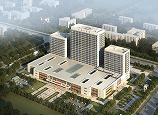 同乐城官网TLC|瓦伦西亚官方相助同伴