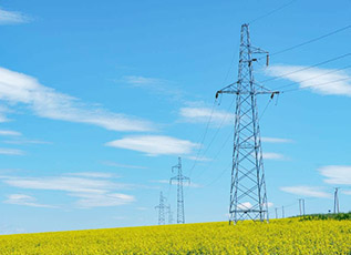 同乐城官网TLC|瓦伦西亚官方相助同伴