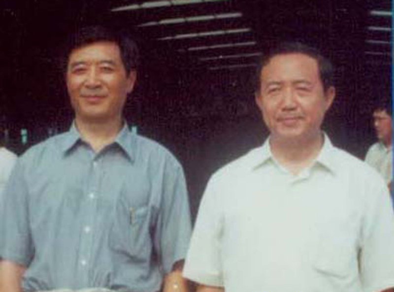 同乐城官网TLC|瓦伦西亚官方相助同伴